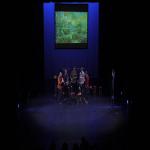images/Voorstellingsfotos/Van Goghs Way to Go Teenagerversion Eveningconcert/75VanGoghAvond.jpg